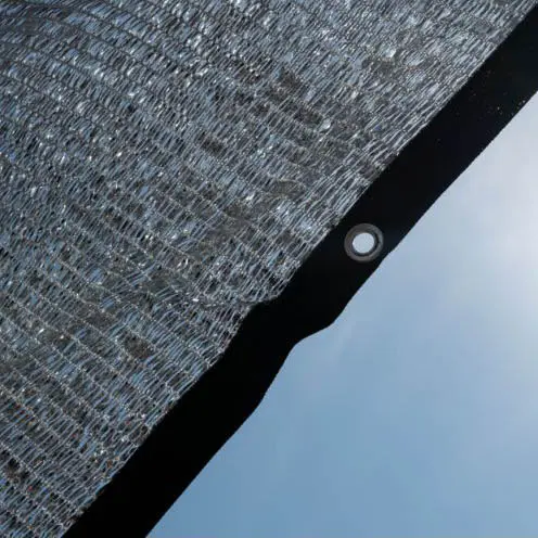 v422581a.webp