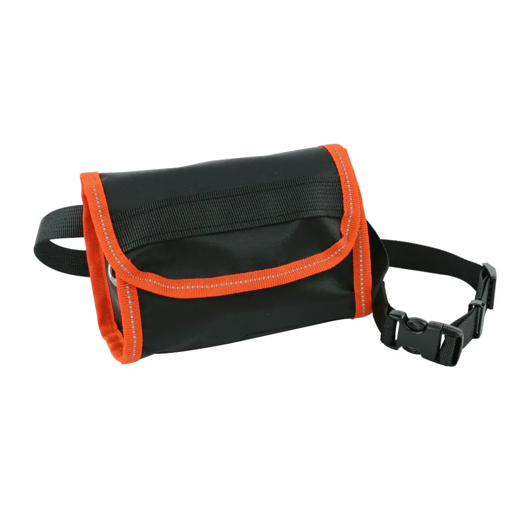 Pochette orange.webp