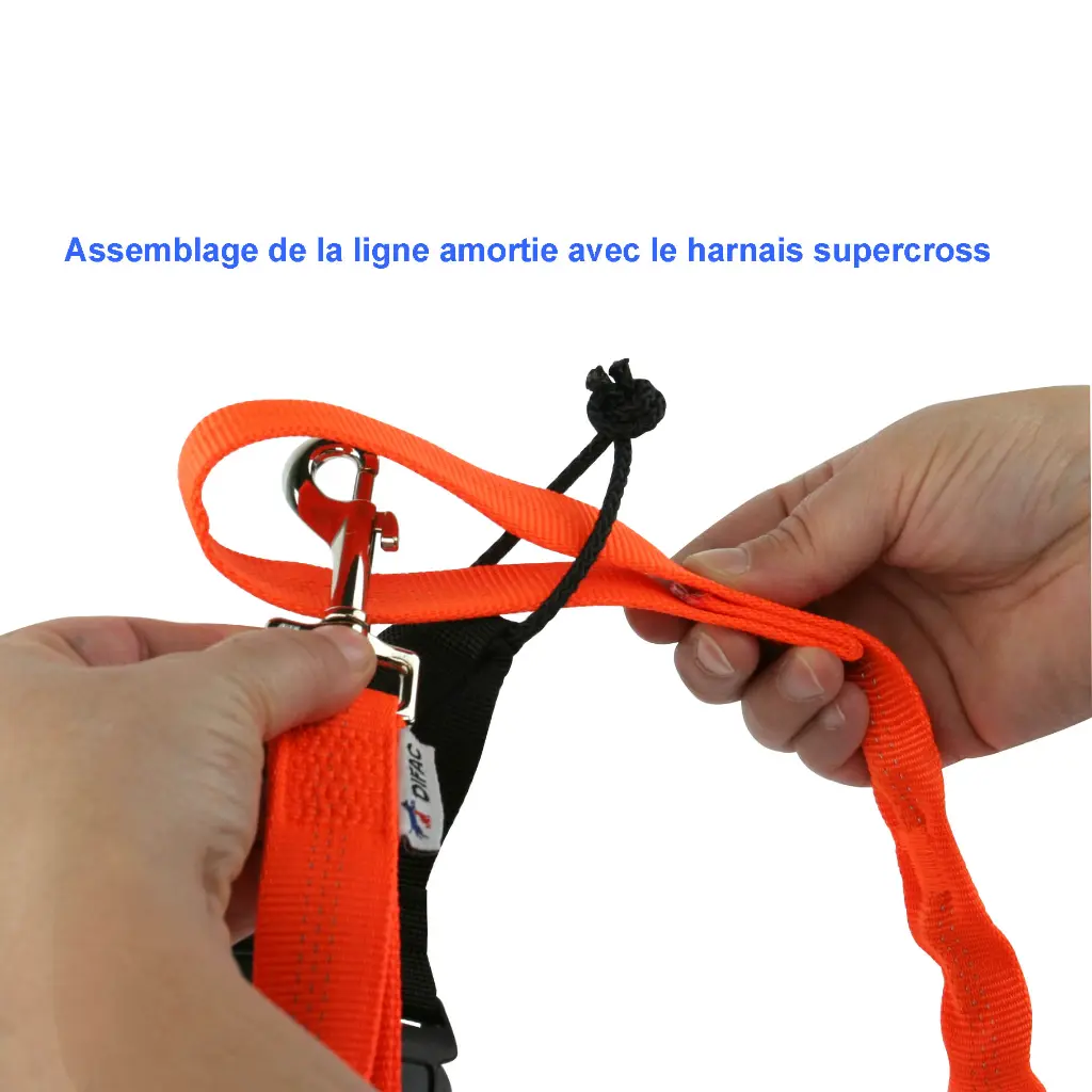 assemblage canicross1.webp