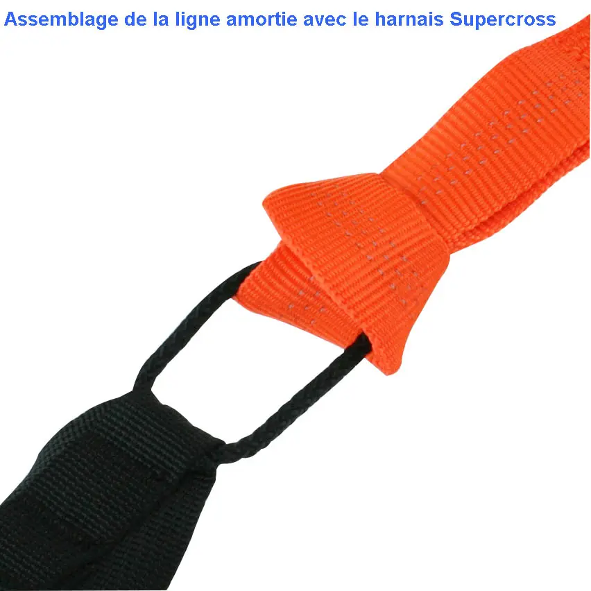 assemblage canicross2.webp