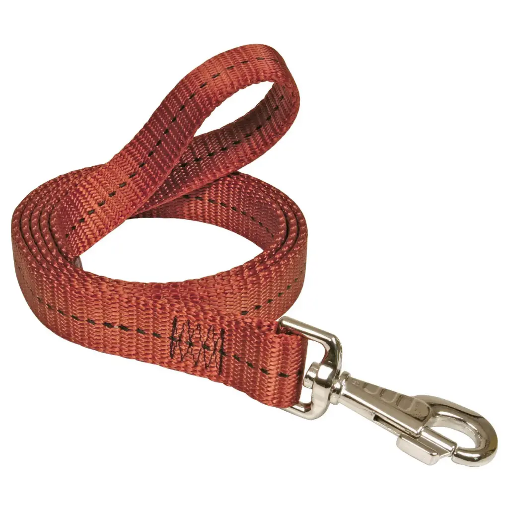 LAISSE HEAVY MARRON µ 'Fin de série'