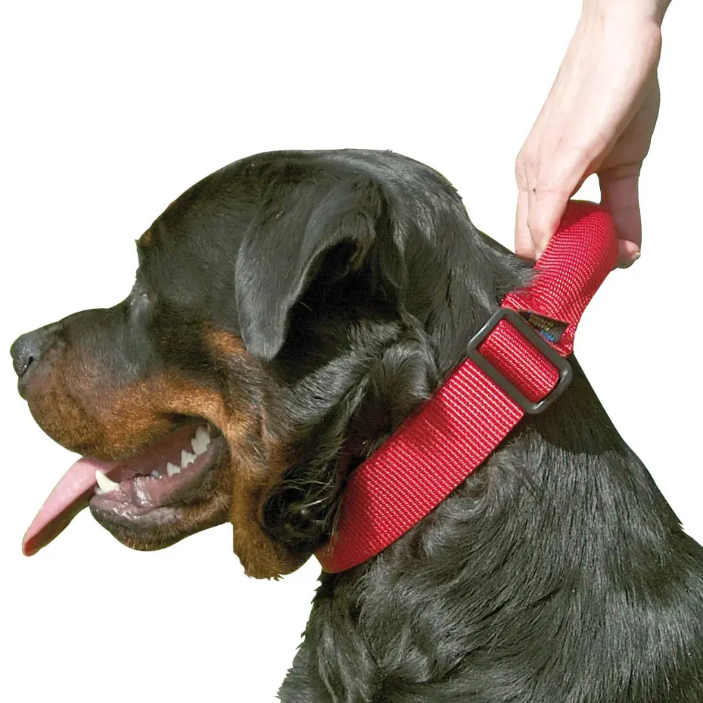 COLLIER D'INTERVENTION REGLABLE CONFORT ROUGE µ 'Fin de série'