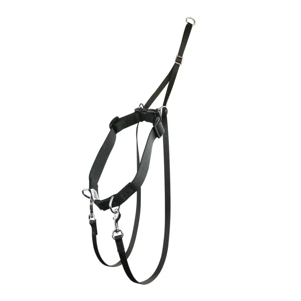 HARNAIS SYMPA-DOG NOIR