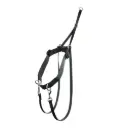 HARNAIS SYMPA-DOG NOIR