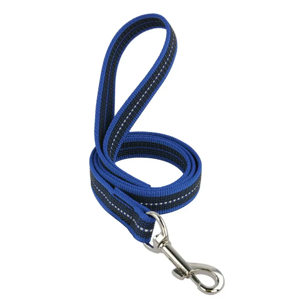 LAISSE REFLEC GOMME BLEU