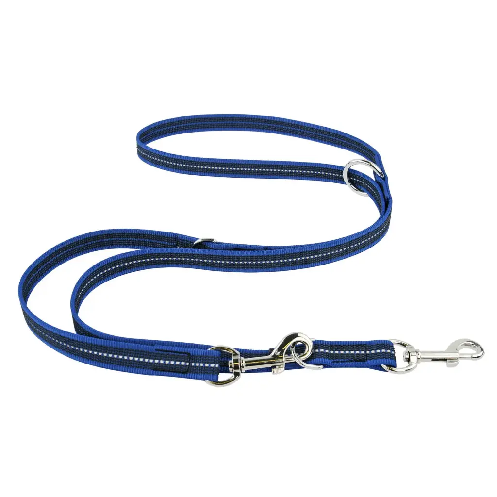 LAISSE REFLEC GOMME MULTIPOSITIONS BLEU