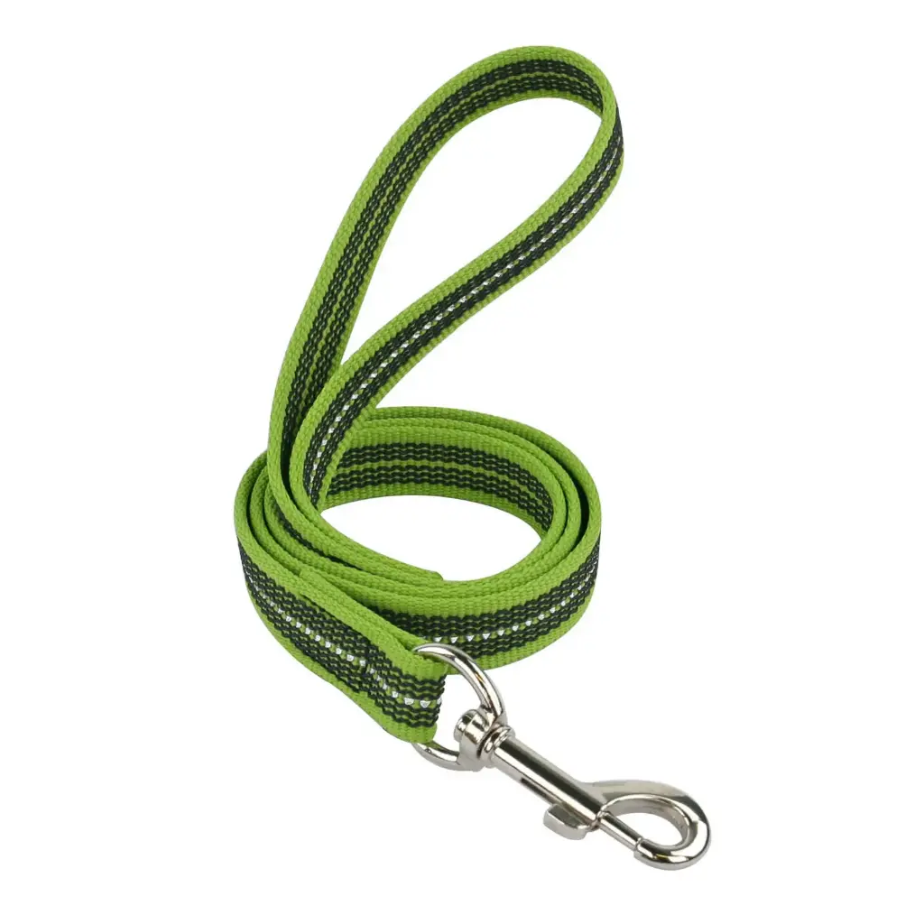 LAISSE REFLEC GOMME VERT