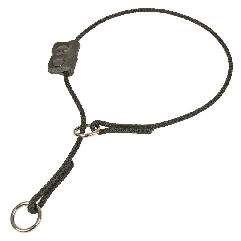 COLLIER EDUC AVEC STOPPEUR