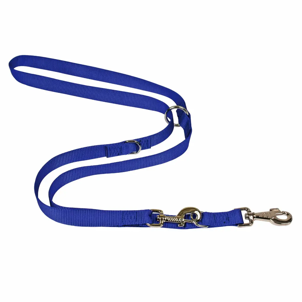 LAISSE CONFORT MULTIPOSITIONS BLEUE 