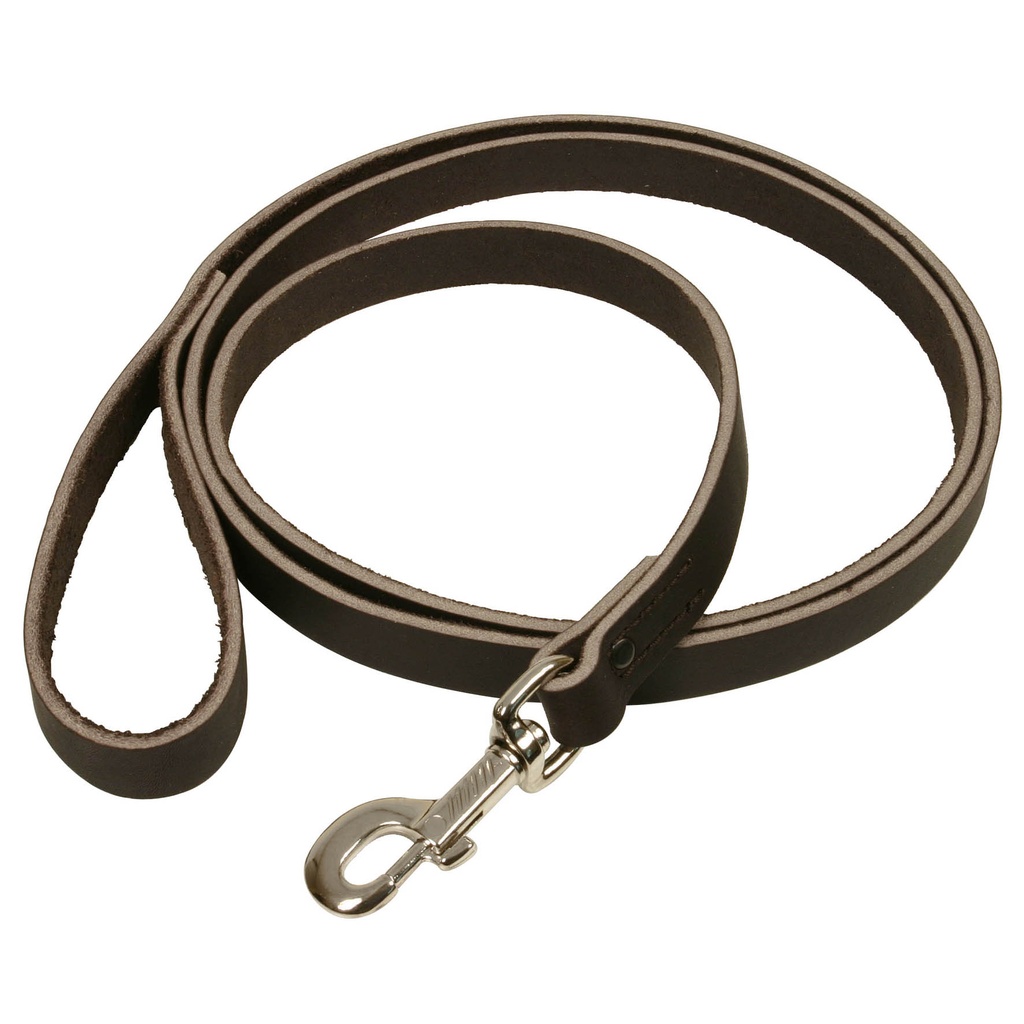 LAISSE CUIR PRO MARRON 2m