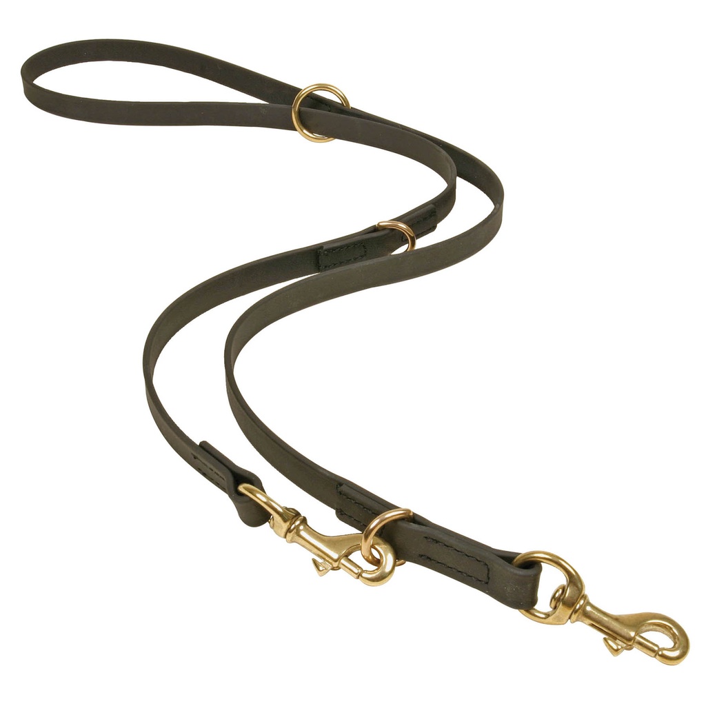 LAISSE BIOTHANE MULTIPOSITIONS NOIRE 