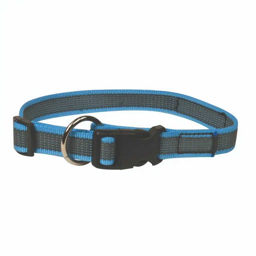 COLLIER COLOR GOMME FERMETURE RAPIDE BLEU