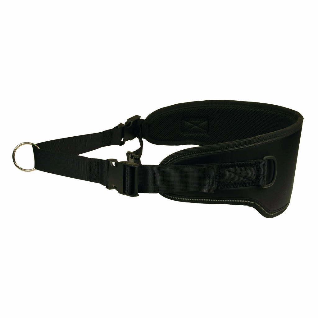 CEINTURE CANICROSS NOIRE