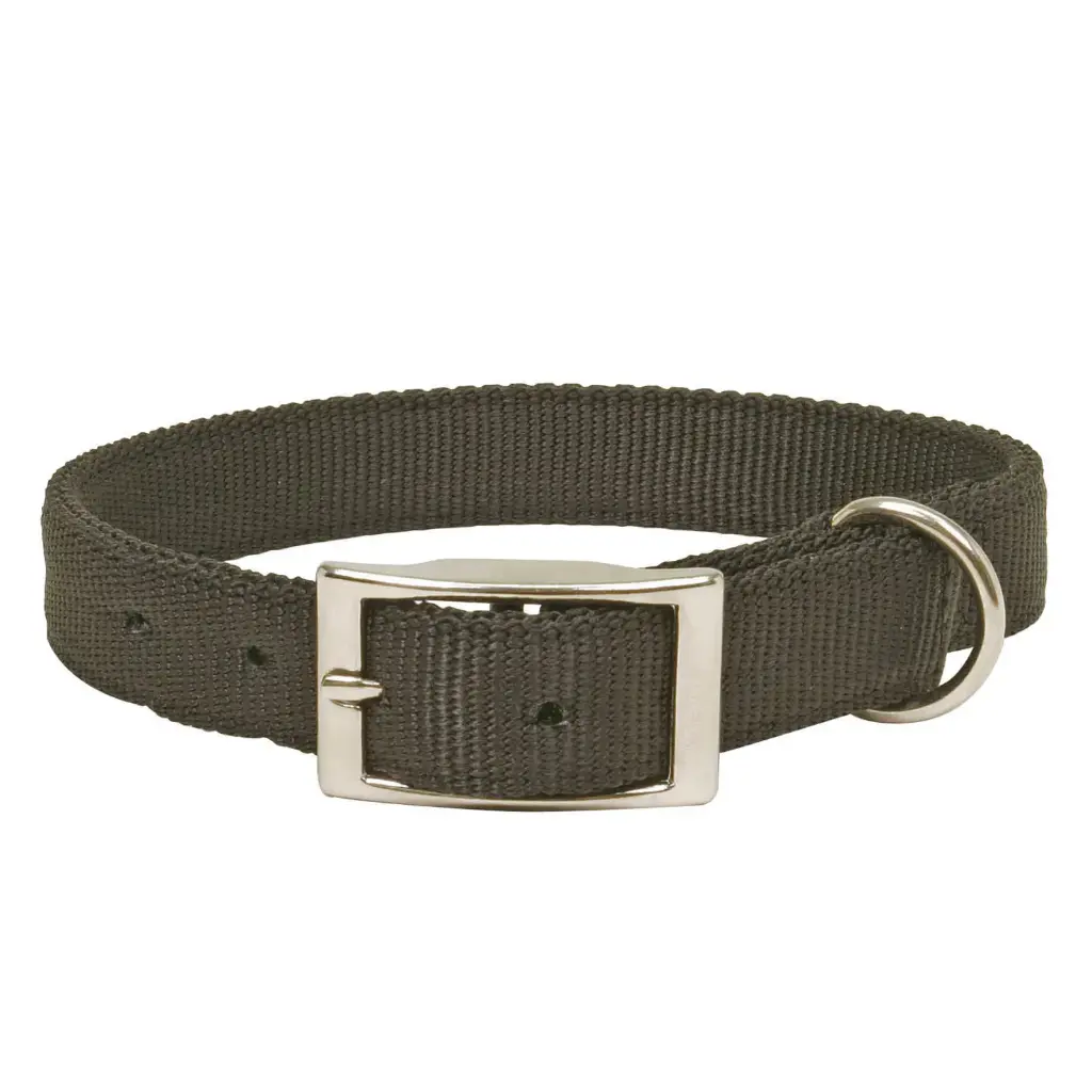 COLLIER CONFORT AVEC BOUCLE METAL NOIR  µ 'Fin de série'