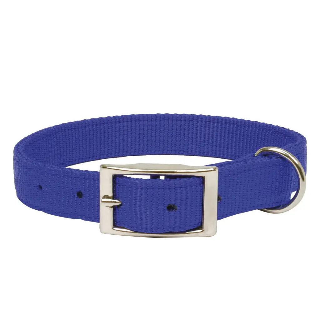 COLLIER CONFORT AVEC BOUCLE METAL BLEU µ 'Fin de série'