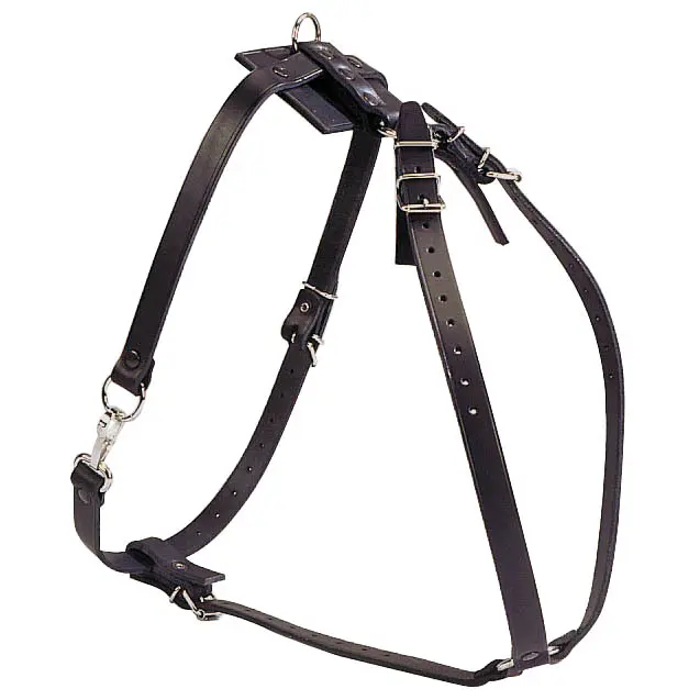 HARNAIS DE PISTAGE "STANDARD" EN CUIR S20mm µ 'Fin de série'