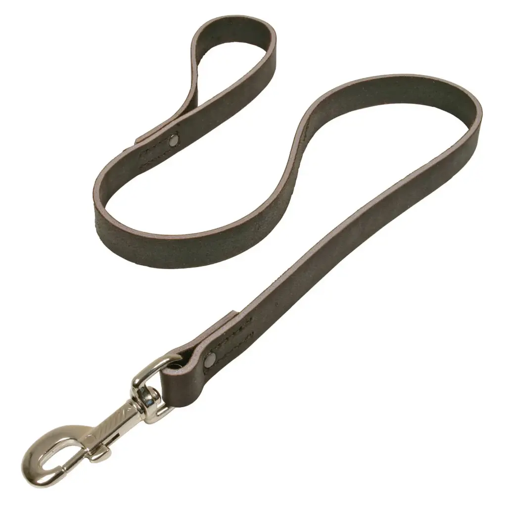 LAISSE CUIR PRO MARRON 1m   µ