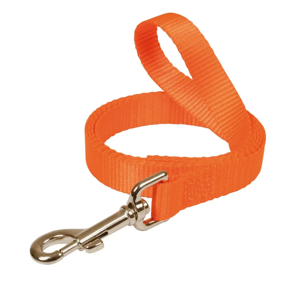 LAISSE FLUO ORANGE µ 'Fin de série'