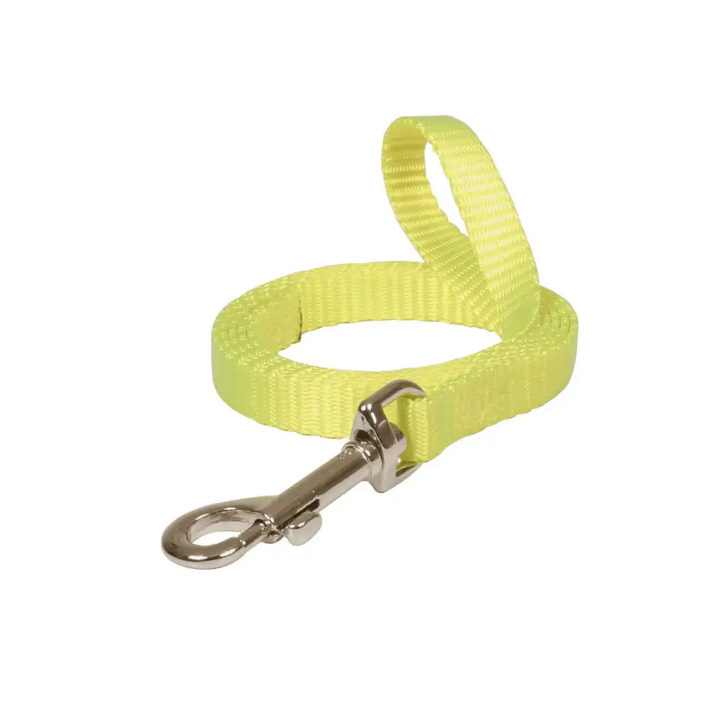 LAISSE FLUO JAUNE µ 'Fin de série'