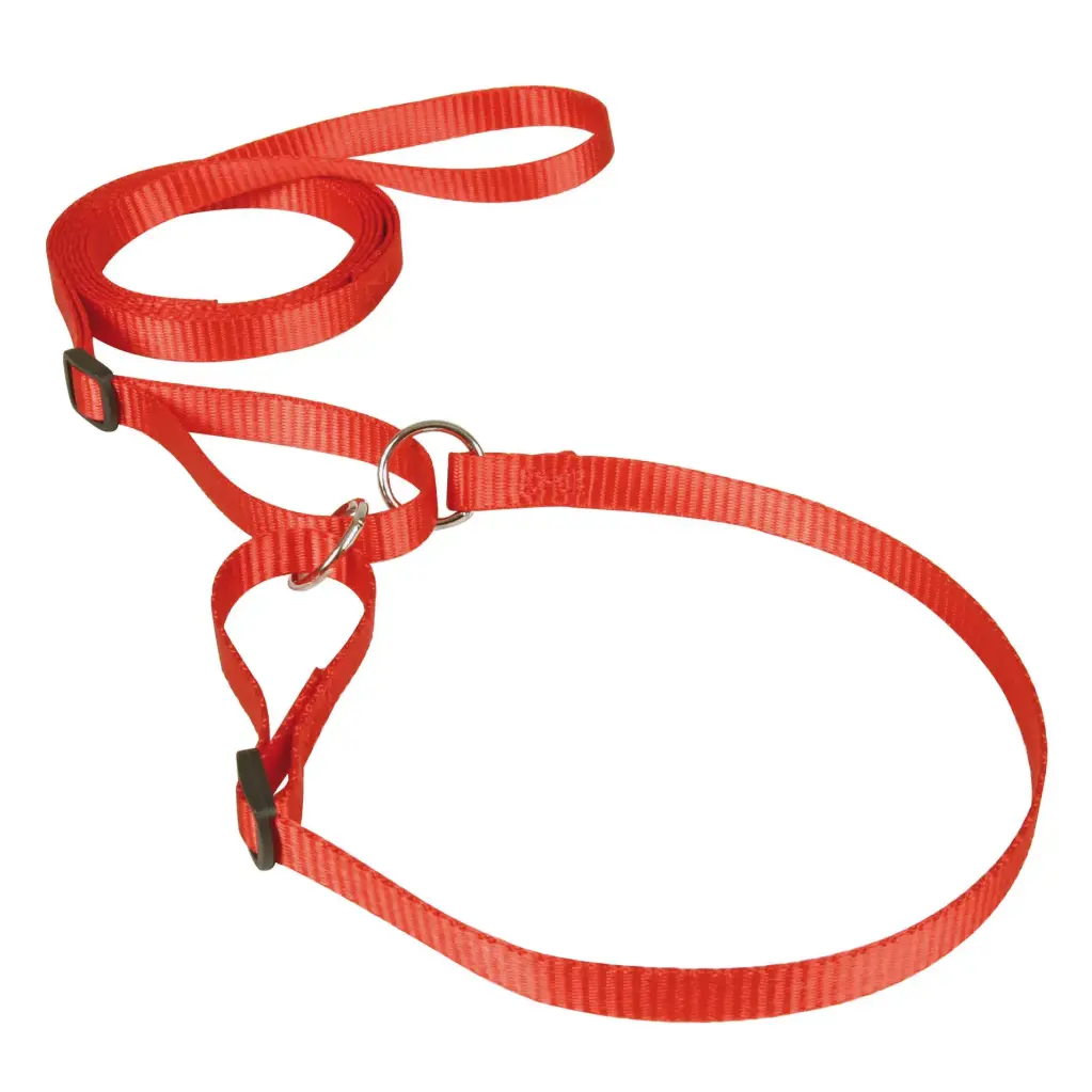 LAISSE COLLIER CONFORT ROUGE µ 'Fin de série'