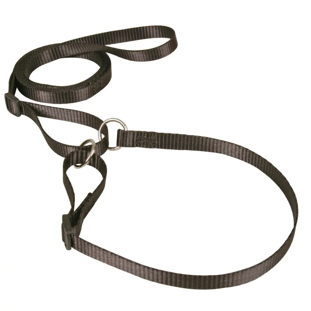 LAISSE COLLIER CONFORT NOIRE µ 'Fin de série'