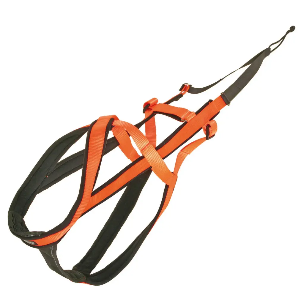 HARNAIS SPEED RACE ORANGE µ