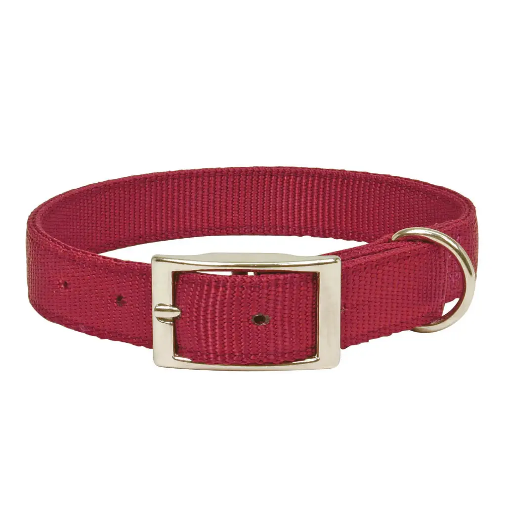 COLLIER CONFORT AVEC BOUCLE METAL BORDEAUX µ 'Fin de série'