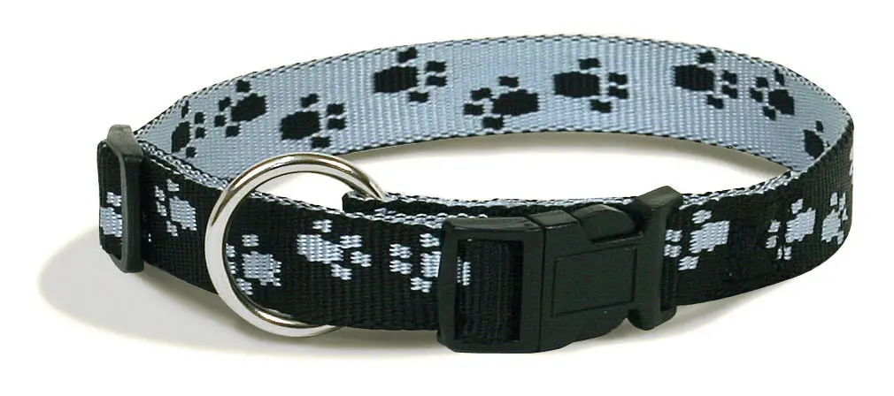 COLLIER REGLABLE NOIR PATTE BLEU µ 'Fin de série'