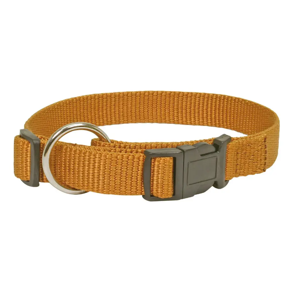 COLLIER RÉGLABLE CONFORT GOLD 