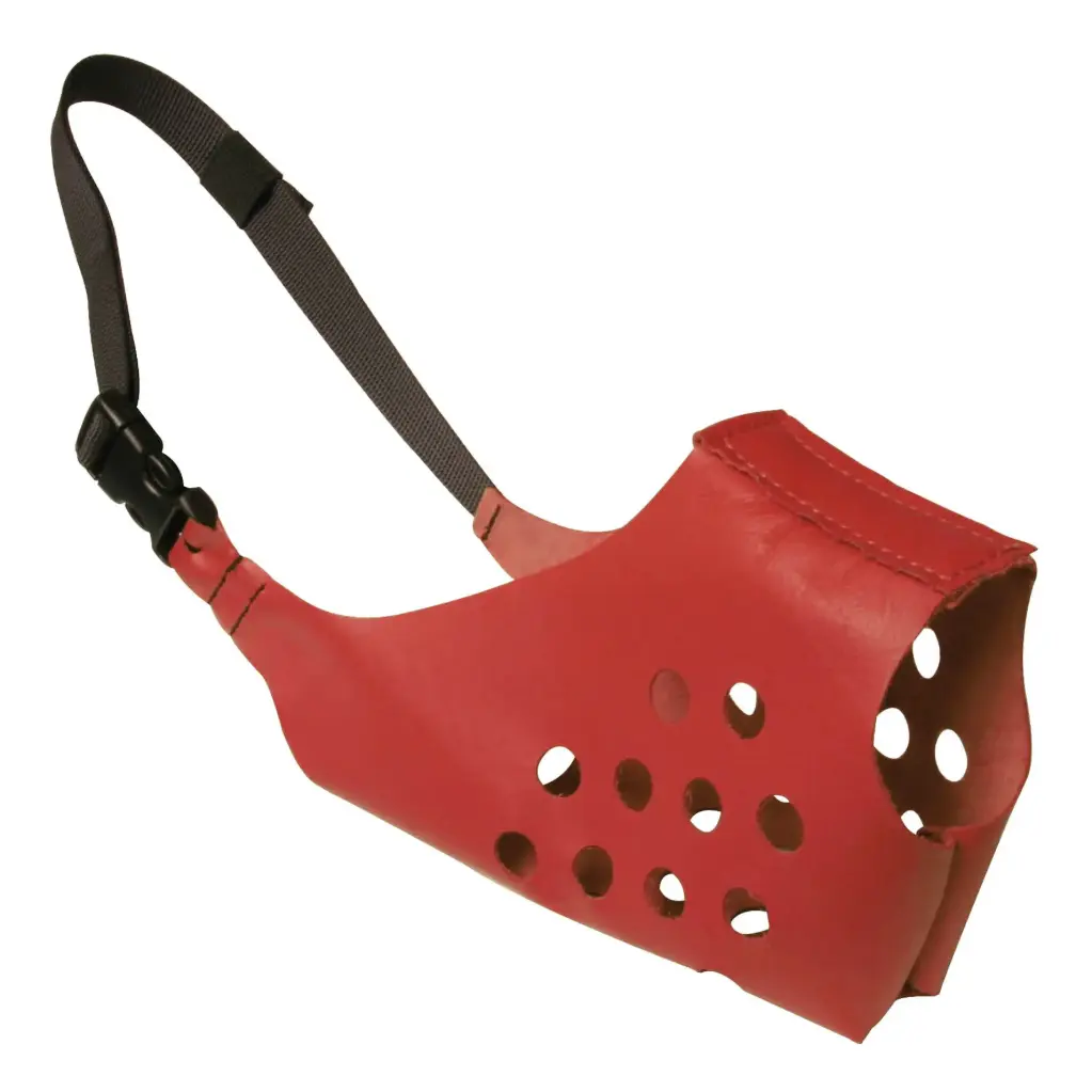 MUSELIERE RING CUIR ROUGE µ 'Fin de série'