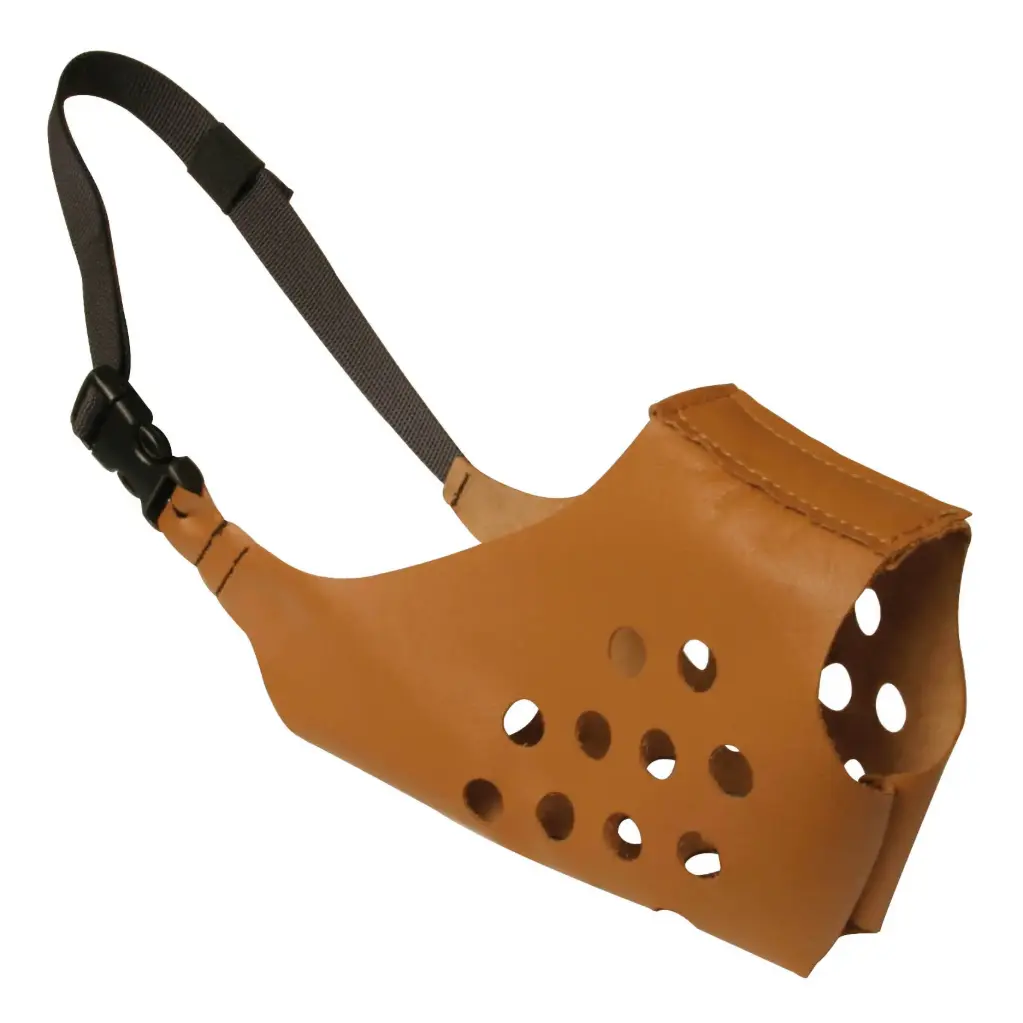 MUSELIERE RING CUIR NATUREL µ