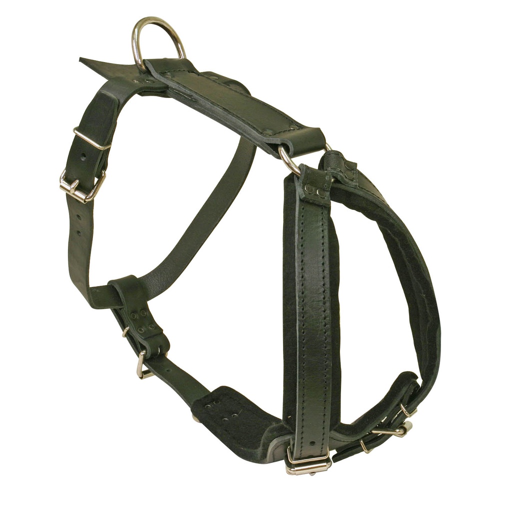 HARNAIS CUIR MOTIVATION NOIR