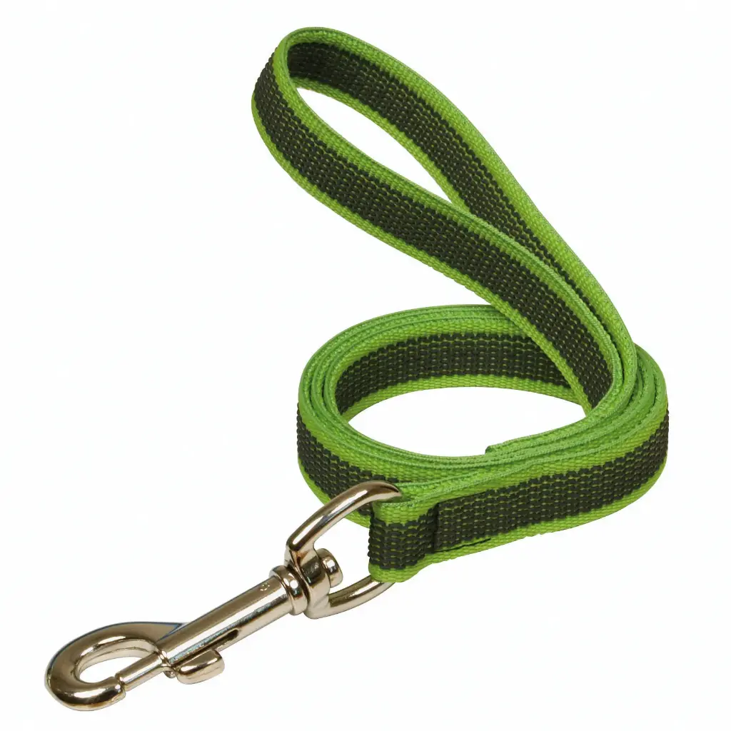 LAISSE COLOR GOMME VERTE 