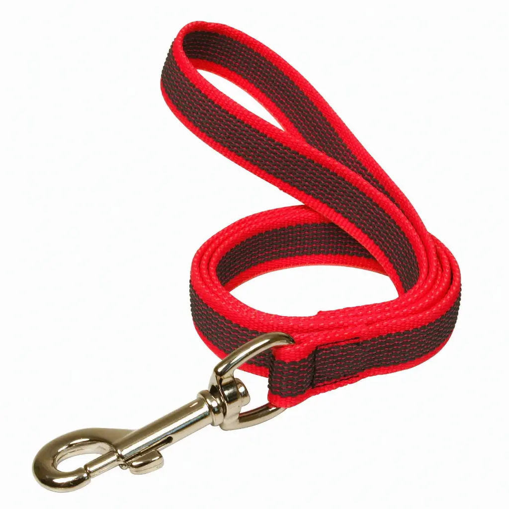 LAISSE COLOR GOMME ROUGE 