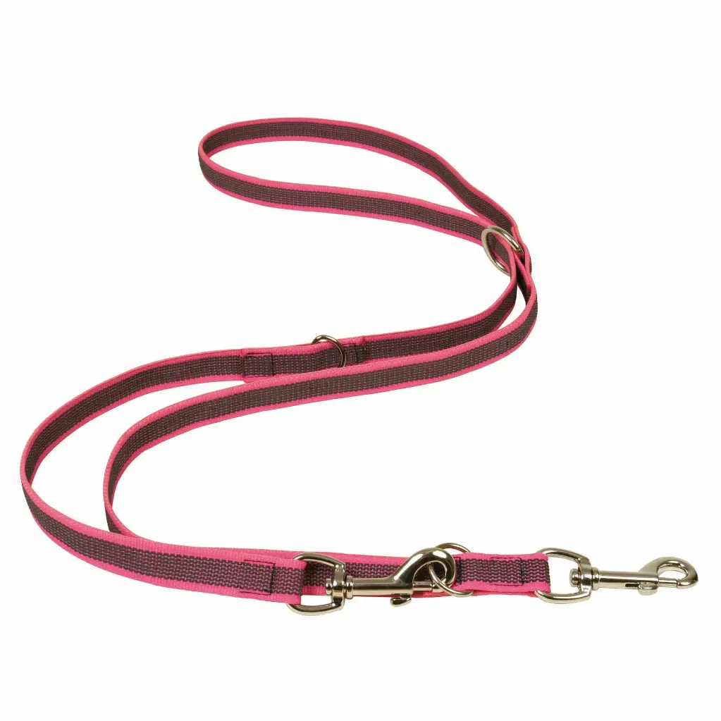 LAISSE GOMME MULTIPOSITIONS ROSE 