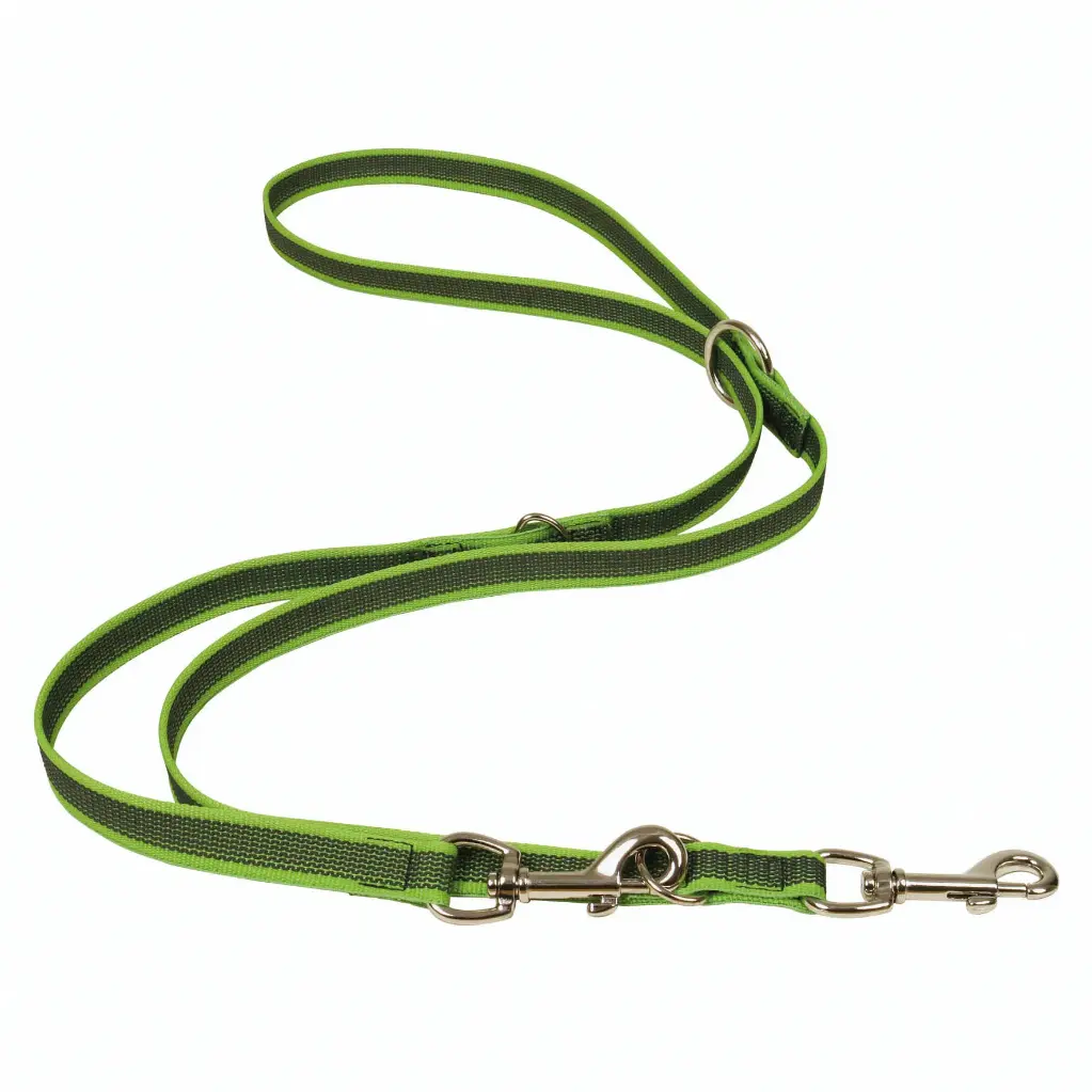 LAISSE GOMME MULTIPOSITIONS VERTE 