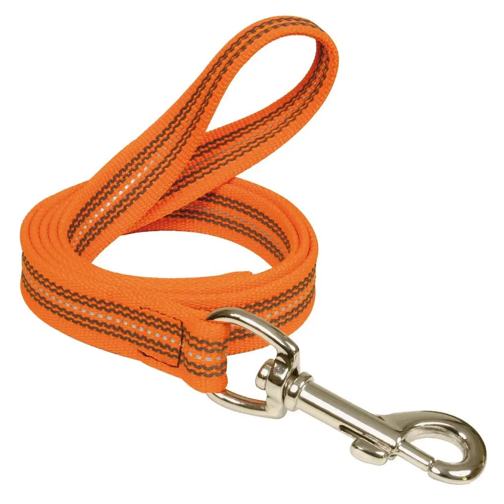 LAISSE REFLEC GOMME ORANGE 