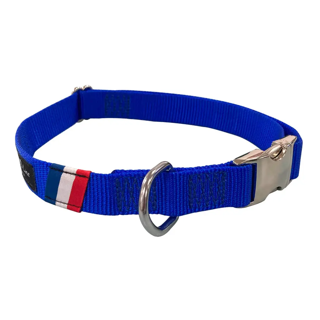 COLLIER "ALLEZ LES BLEUS"