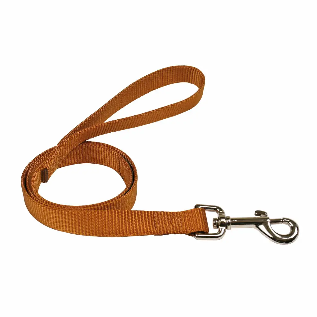 LAISSE CONFORT GOLD 
