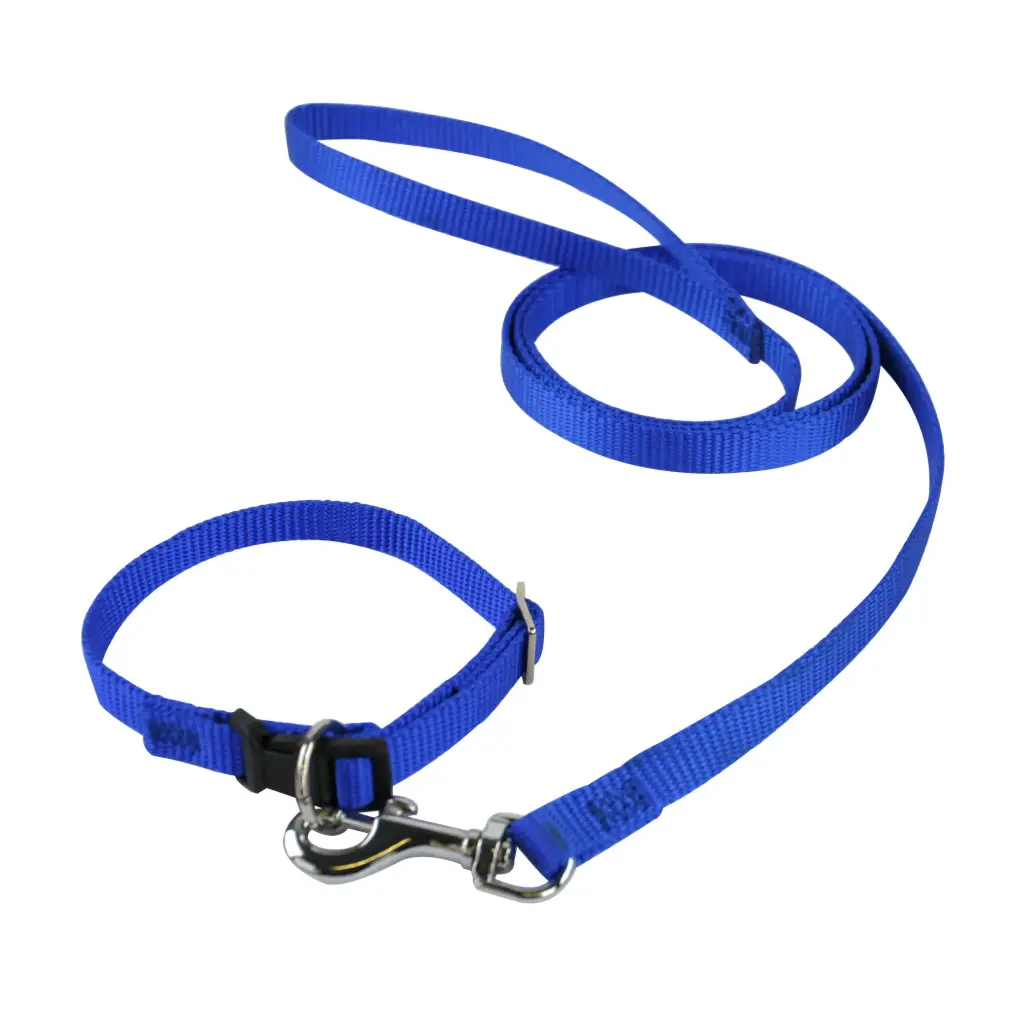 "OFFRE SPECIALE" - LOT DE 5 COLLIERS ET LAISSES POUR CHIOTS   µ