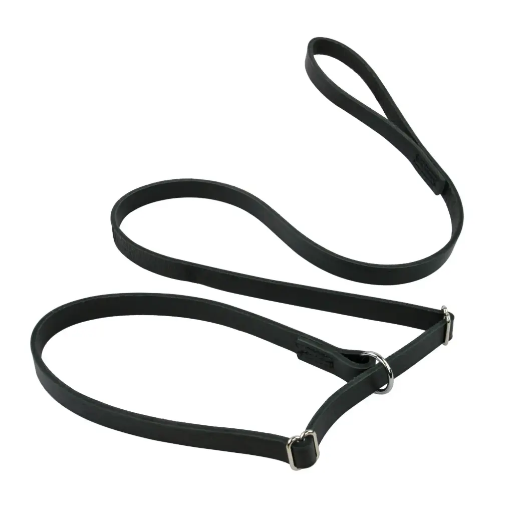 LAISSE LASSO CUIR NOIRE 