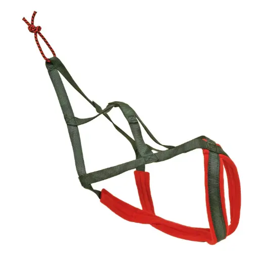 HARNAIS X BACK NOIR µ