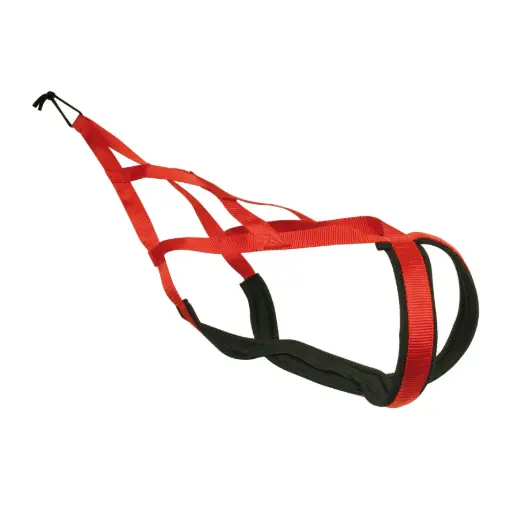 HARNAIS X BACK ROUGE µ