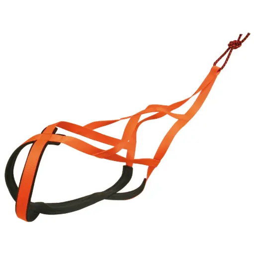 HARNAIS X BACK ORANGE µ