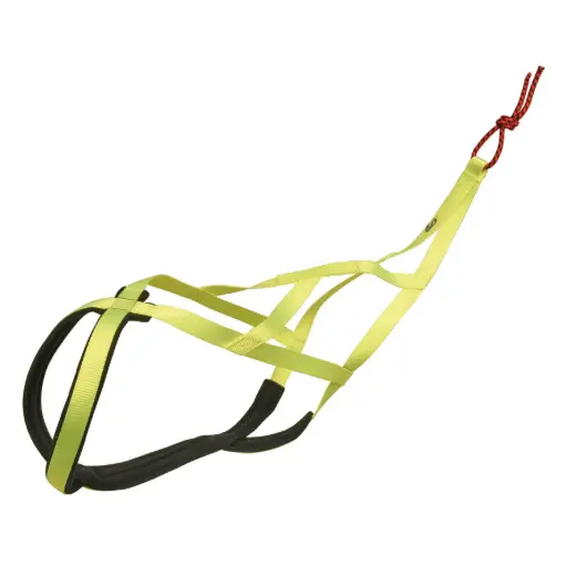 HARNAIS X BACK JAUNE µ