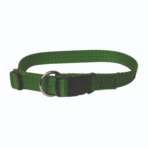 [572253] COLLIER REGLABLE HEAVY VERT C40/65cm S25mm µ 'Fin de série'