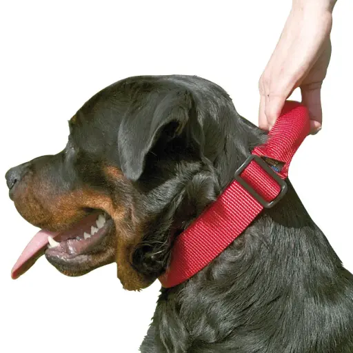 [572400] COLLIER D'INTERVENTION REGLABLE CONFORT ROUGE µ 'Fin de série'