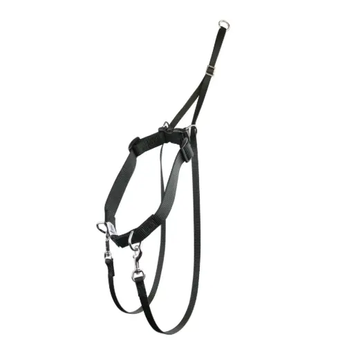 HARNAIS SYMPA-DOG NOIR
