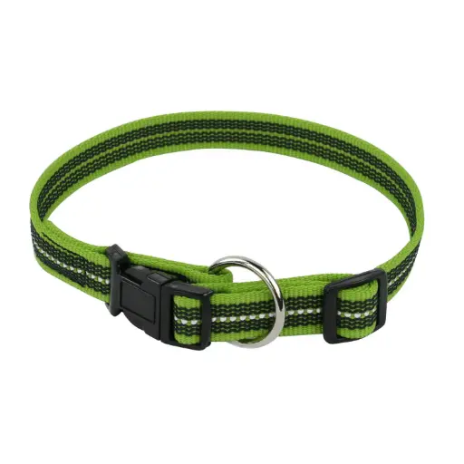 COLLIER REFLEC GOMME FERMETURE RAPIDE VERT