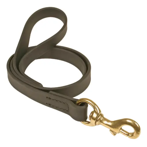 LAISSE BIOTHANE NOIRE 1m  µ